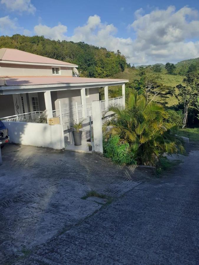 Chez Coco Appartement Balisier Riviere-Salee 外观 照片