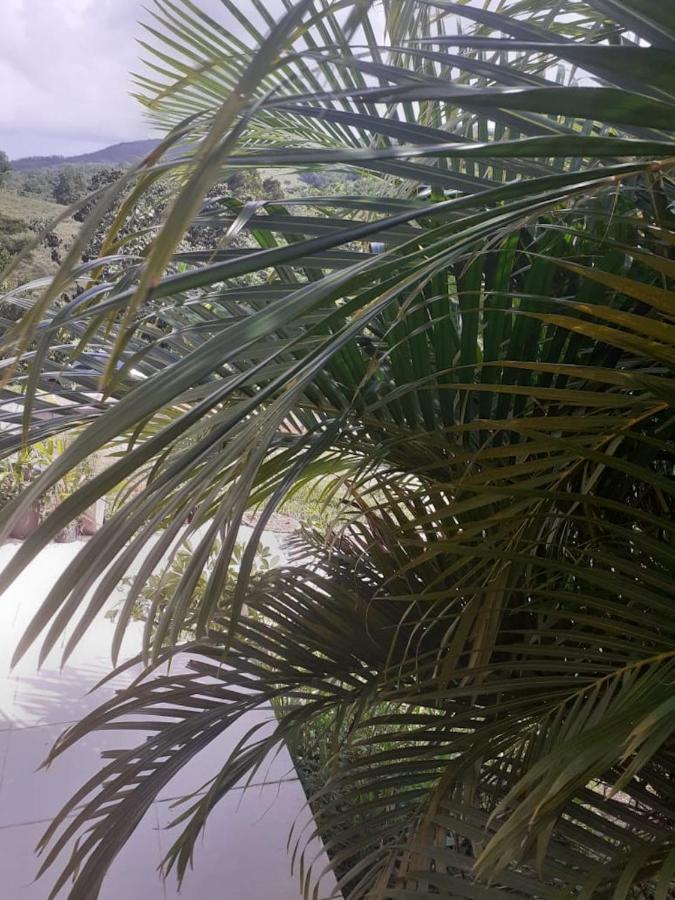 Chez Coco Appartement Balisier Riviere-Salee 外观 照片